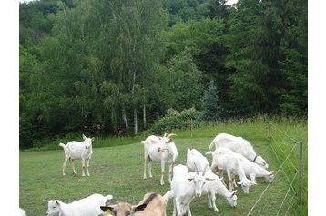 Slovaquie Chata Sklené Teplice, Extérieur